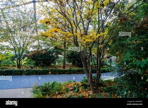 Pergola On The Wharf Theatre Crossrail Place Roof Garden Canary Wharf