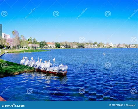 Lake Morton In Florida Stock Image Image Of Nature 213780885