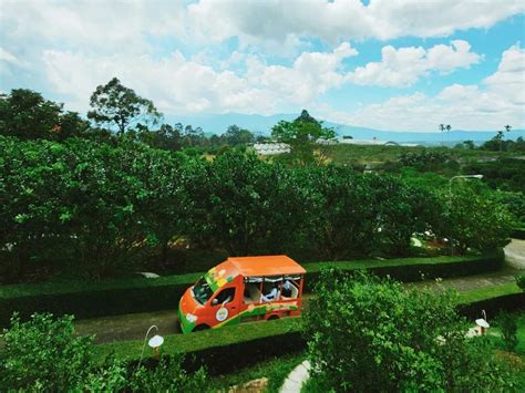 Daya Tarik Wisata Petik Buah Hortimart Agro Center Semarang