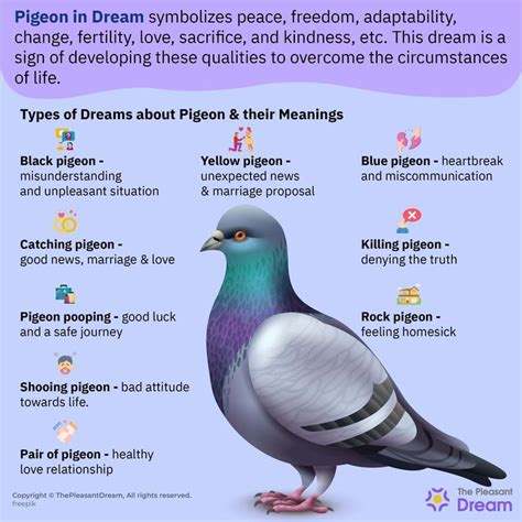 Pigeon Dream Meaning – A Complete Guide | Dream meanings, Dream symbols, Dream