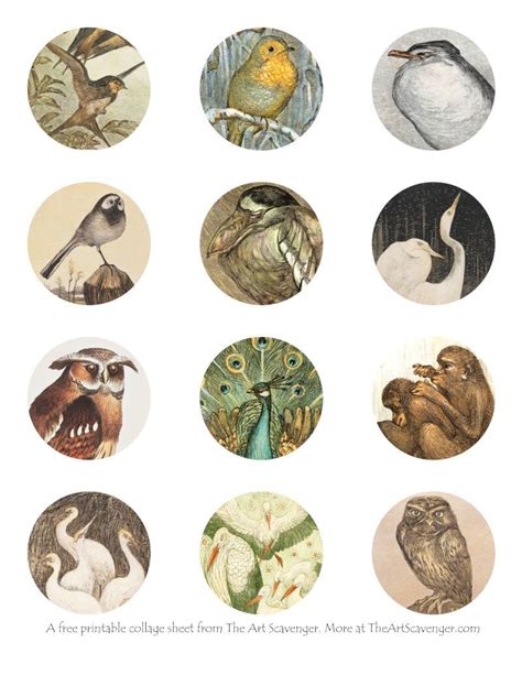 Free printable animal art collage sheets – Artofit