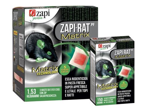 Zapi RAT Matrix Pasta