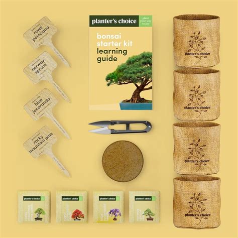 Planters Choice Bonsai Starter Kit Rocka Design™