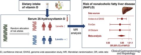 Inverse Association Between Serum 25 Hydroxyvitamin D And Nonalcoholic