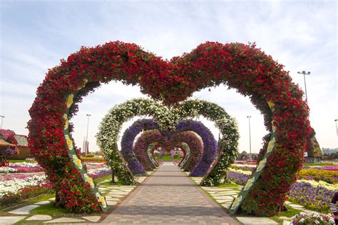 The Hidden Garden Flowers Abu Dhabi Best Flower Site