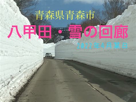 青森県青森市 八甲田・雪の回廊 青森の旅と祭りと温泉と