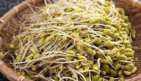 5 Health Benefits Of Eating Bean Sprouts