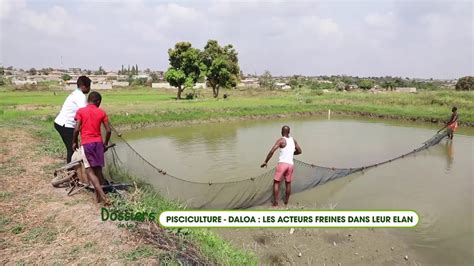 Les acteurs de la pisciculture de Daloa freiner dans leurs élans de