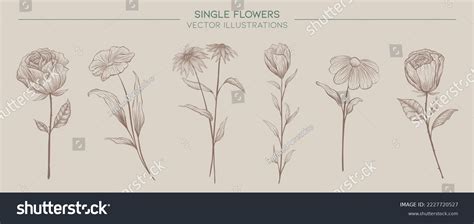 single flower vector illustration set stock vector royalty