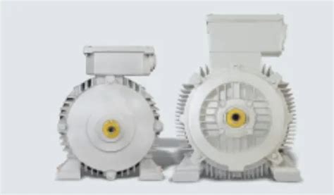 Siemens Champion Ie Series Motors At Best Price In New Delhi By