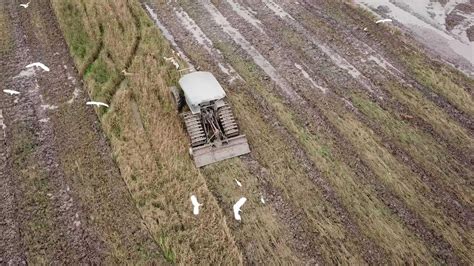 Aerial tractor plough in paddy field. Some dogs beside the field ...