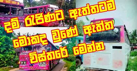 Dam Rajina Bus-දම් රැජිණට ඇත්තටම මොකද වුණේ.. ඇත්ත විස්තරේ මෙන්න ...