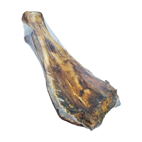 beef bone blade natural treats bristol