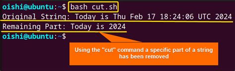 How To Remove Character From String In Bash Methods Linuxsimply