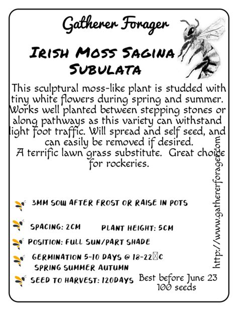 Irish Moss - Local Seeds