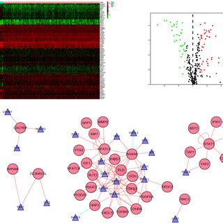 Network Analysis Of Tf Irg Interaction A Heatmap Of Differentially