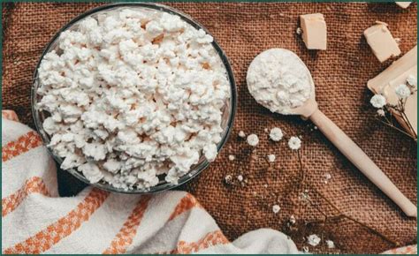 Is Cottage Cheese Good For Weight Loss Explore Now