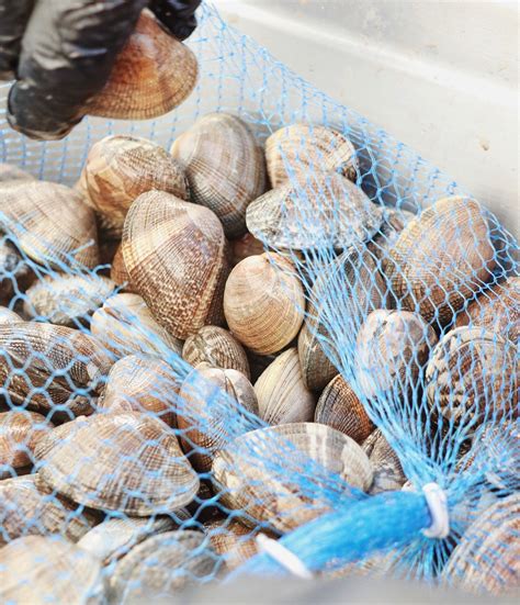 Taylor Shellfish Farms | Taylor Shellfish Farms, Seattle WA