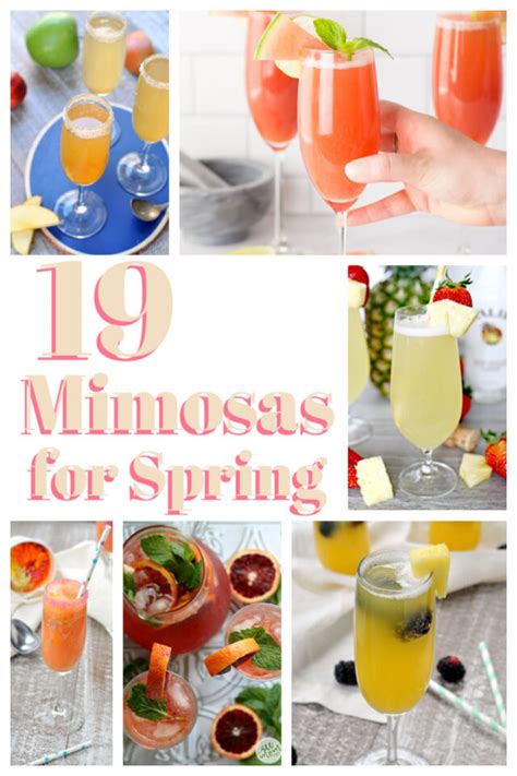 19 Mimosa Recipes Perfect For Spring My Suburban Kitchen