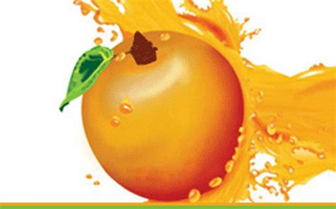 Fruit Concentrate In Chittoor Andhra Pradesh Fruit Concentrate Price In Chittoor