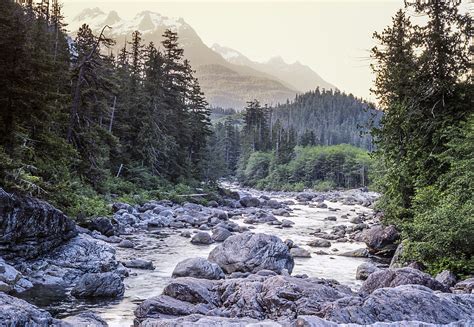 5 Reasons The White Mountains Of Nh Is Your Next Scenic Road Trip