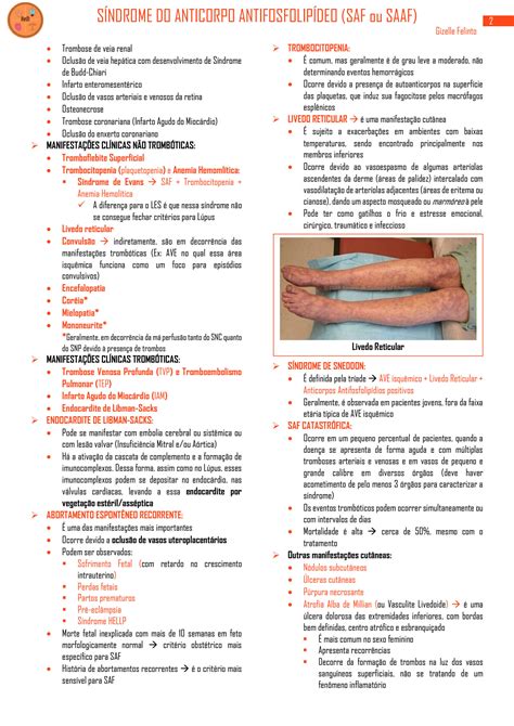 Solution S Ndrome Do Anticorpo Antifosfolip Deo Saf Studypool