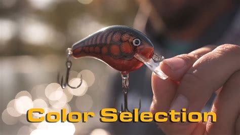 Crankbait Color Selection With Drew Benton Bagley Bait Co