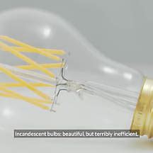 Tala Lurra 3 Watt Dimmable LED Vintage Light Bulb Reviews Crate