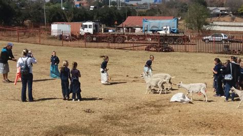 Grants Dairy Pre School To Grade 12 School Educational Excursions