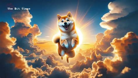 Shiba Inu Shib Price Prediction November End