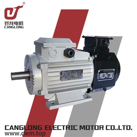 3 Phase Motor Yvpyvf Frequency Conversion Motor Cost Effective Three