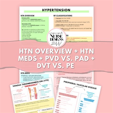 Nursing School Study Guide: Hypertension, PVD vs. PAD, DVT, Strokes