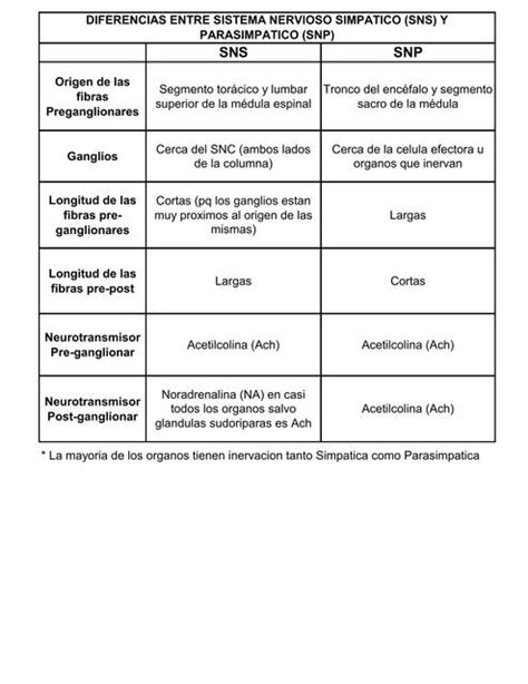 Cuadro De Diferencias Entre Sistema Nervioso Autonomo Simpatico Y