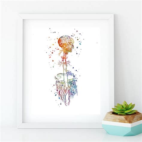 vagus nerve watercolor art print anatomy art neurologist  etsy