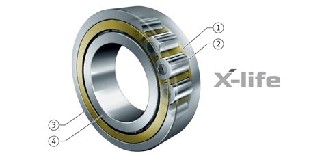 Single Row Cylindrical Roller Bearings With Cage Schaeffler Medias