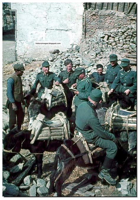 HISTORY IN IMAGES: Pictures Of War, History , WW2: German Soldiers, German Army During WW2: ALL ...