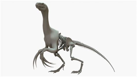 3d Therizinosaurus Rigged Basemesh Skeleton Turbosquid 2109451