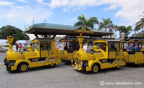 Loro Parque Tenerife 🦜 More than just a zoo in Puerto de la Cruz