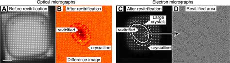 Frontiers Microsecond Melting And Revitrification Of Cryo Samples