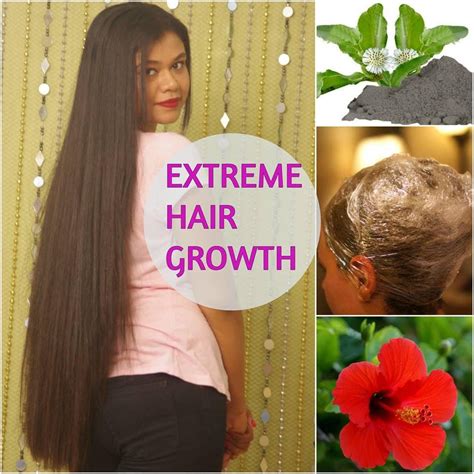 5 Diy Homemade Hair Masks For Maximum Hair Growth