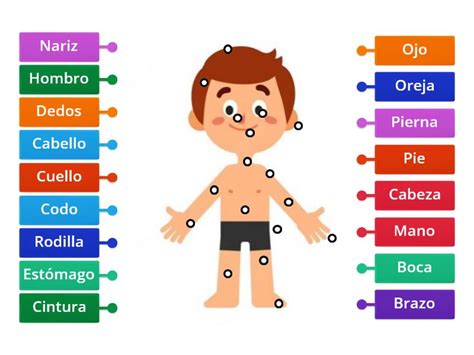 Atividade Espanhol O Corpo Humano Diagrama Con Etiquetas