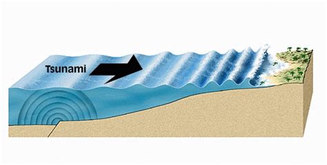 What are tsunamis? Cause and Prediction of Tsunami