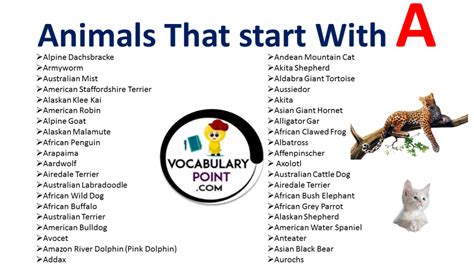 Names of Animals Start with A Archives - Vocabulary Point