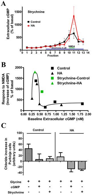 Effects Of The Glycine Receptor Antagonist Strychnine On Activation Of