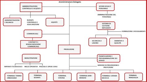 Organi Sociali E Management