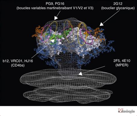 Cours De Virologie G N Rale