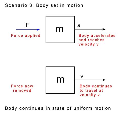 Are Newtons Mass Or Weight Exploring The Fundamentals