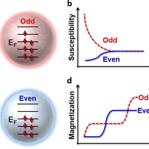 Electron Number Parity Effect In Magnetization A Isothermal