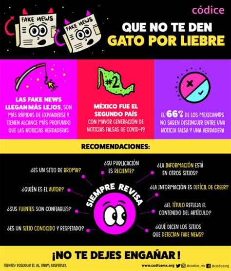 Infografía Sobre Noticias Falsas