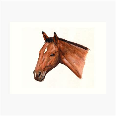 "Bay horse" Art Print by savousepate | Redbubble